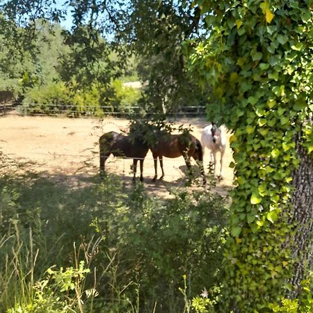 L Etrier Villa Lorgues Luaran gambar