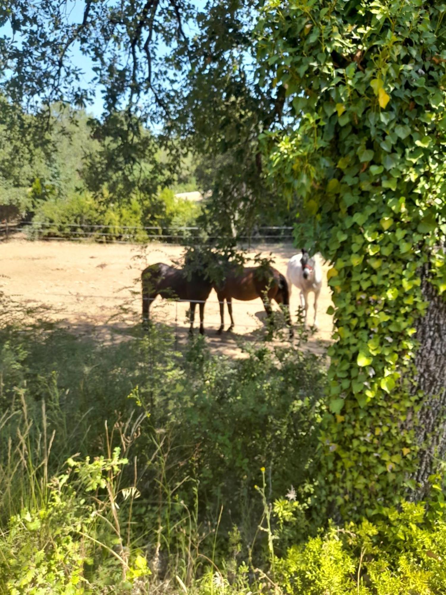 L Etrier Villa Lorgues Luaran gambar